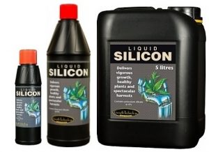 Liquid Silicon-0