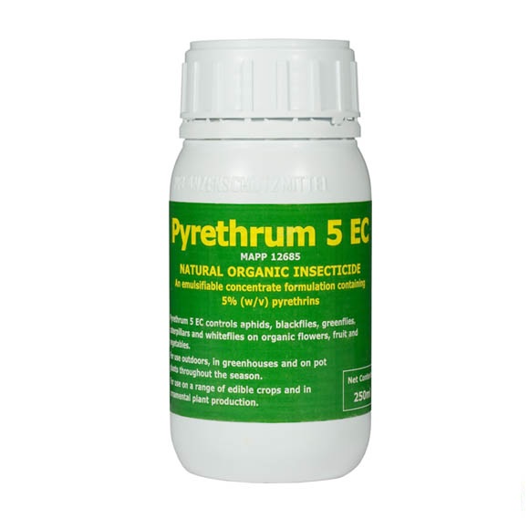 Pyrethrum 5 EC